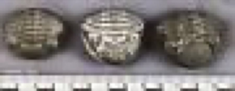 Eldredgeops rana — Eldredgeops rana